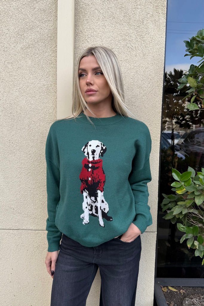 BRIAR PARK GRAPHIC SWEATER - Violet Muse Boutique